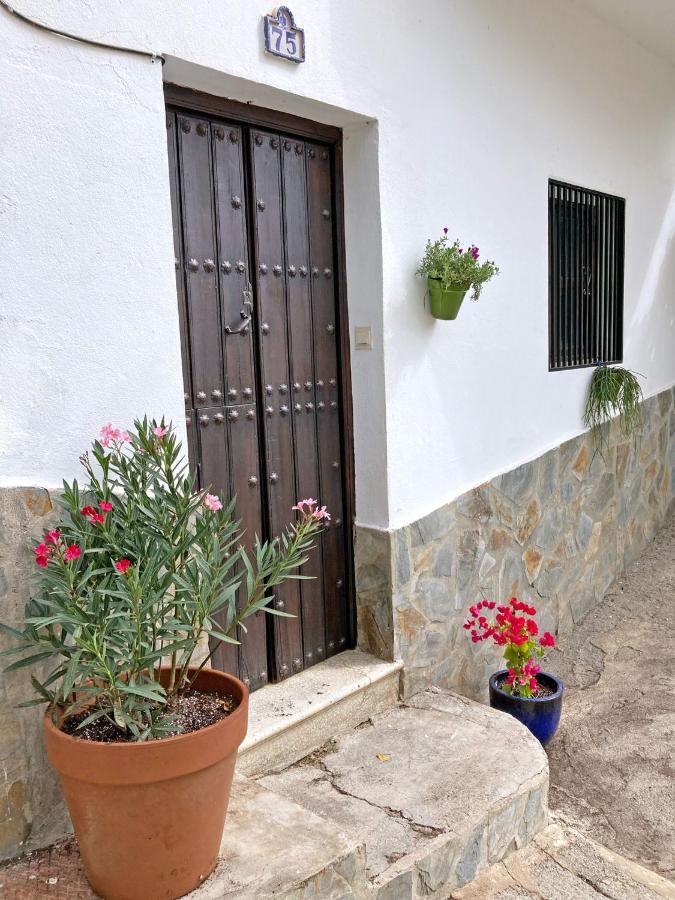 Casa Amigos Sorvilan- La Palmera Exterior photo