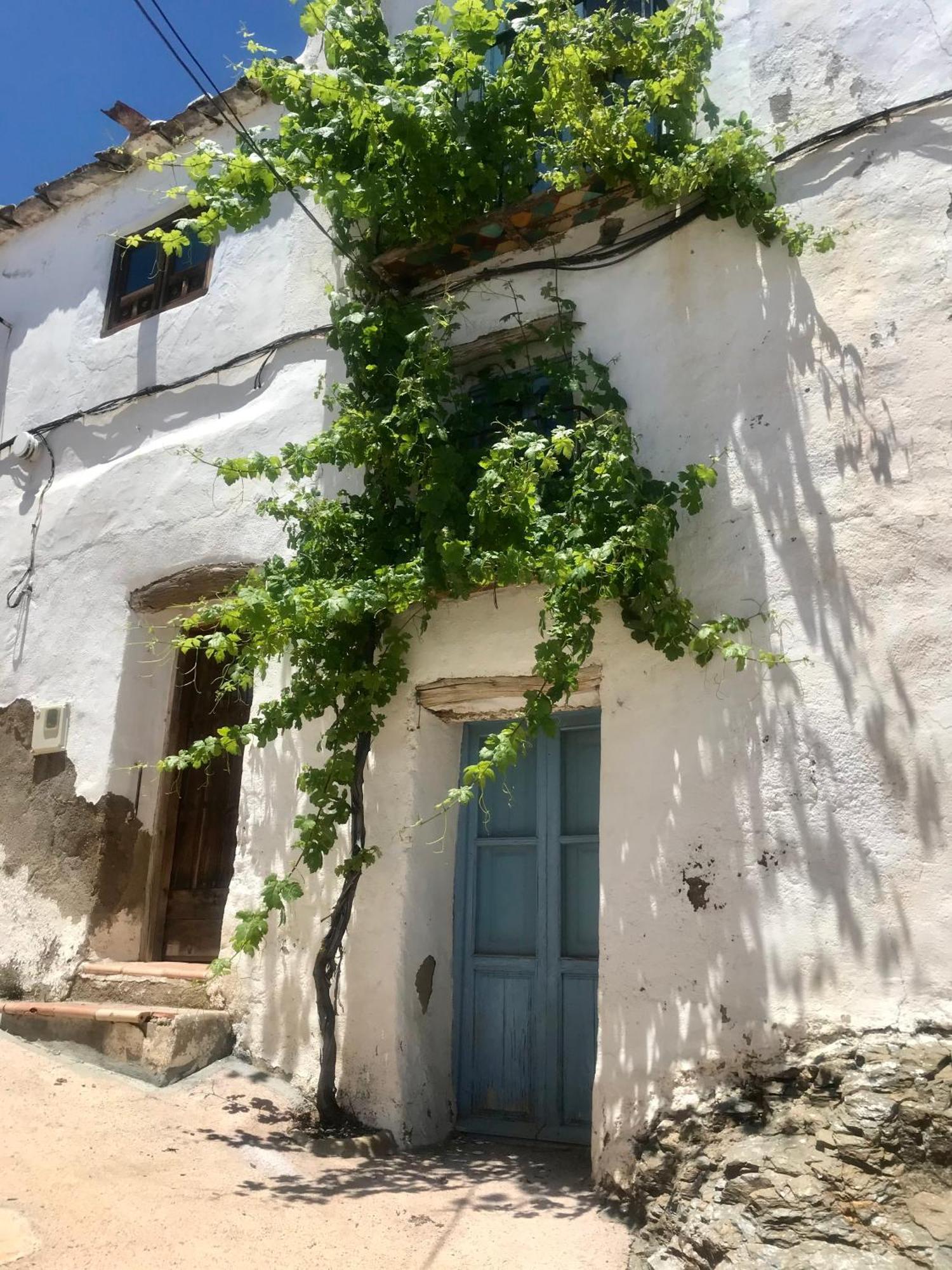 Casa Amigos Sorvilan- La Palmera Exterior photo