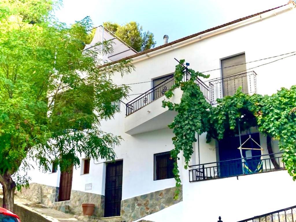 Casa Amigos Sorvilan- La Palmera Exterior photo